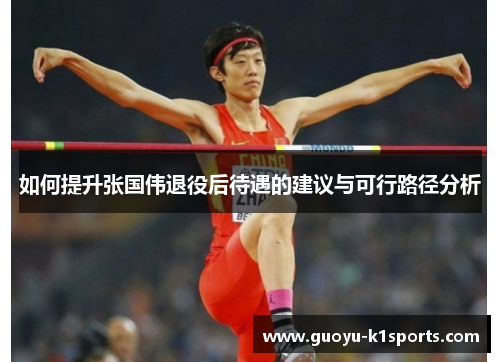 如何提升张国伟退役后待遇的建议与可行路径分析