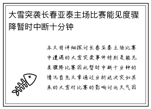 大雪突袭长春亚泰主场比赛能见度骤降暂时中断十分钟